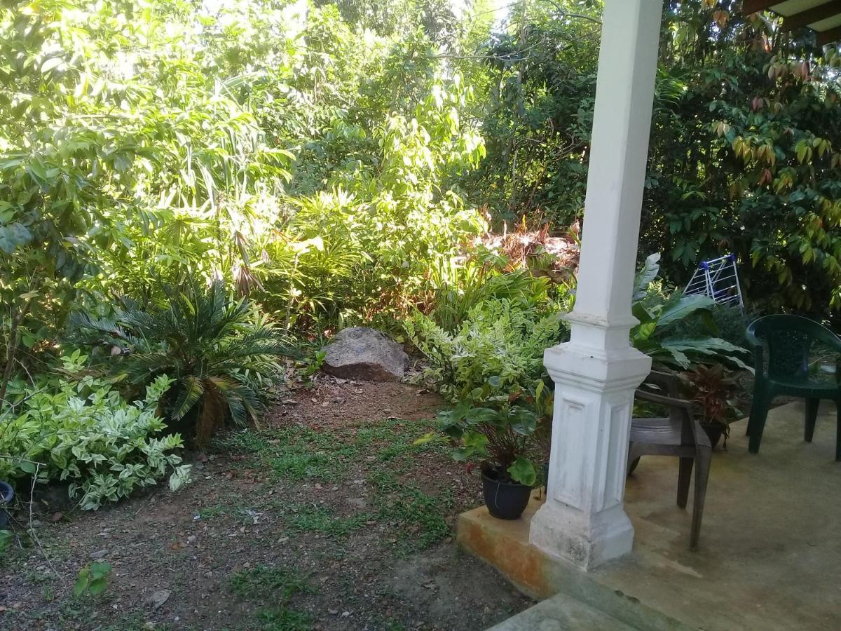 Niyuni Villas Bentota Bagian luar foto